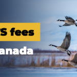 IELTS Canada fees